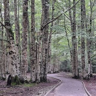 Foto von Roswitha Wawerla entlang der Tour