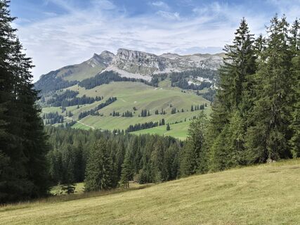 Photo de Thomi W le long du parcours