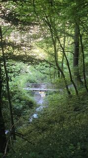 Photo de Dietmar Herrenschmidt le long du parcours
