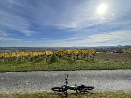 Foto von Adrian Coroi entlang der Tour