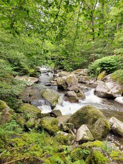 Fotografia z ReginaSt na trase