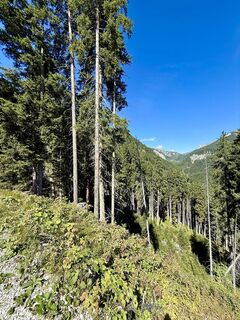 Fotografia z Bahn Micha na trase