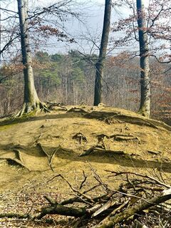 Foto von Kellner Heidi entlang der Tour