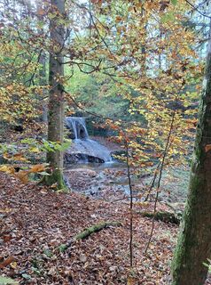 Photo from Alois Strehler along the tour