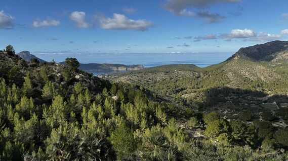 Photo de Guido Hahn le long du parcours