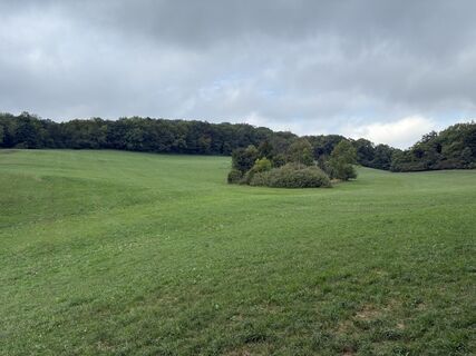 Fotografie de la Martin1967 de-a lungul turului