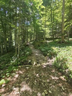 Foto von Dietmar Huber 1 entlang der Tour