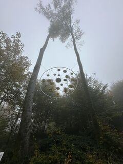 Fotó a Babs Holz honlapról a túra során