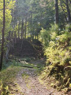 Photo de drista panka le long du parcours