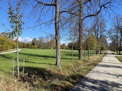 Fotografia z Thomas Handlir na trase