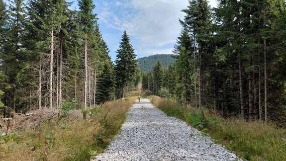 Photo de Wolfgang Arlic 1 le long du parcours