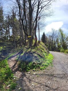 Photo de BergfexxMaxx le long du parcours