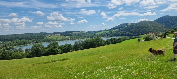 Fotografie z Manuela Huemer Frisco na trase