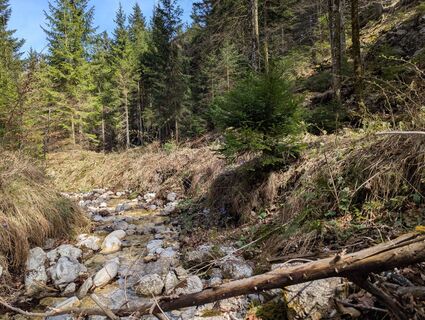 Foto von Hiking Hermit entlang der Tour