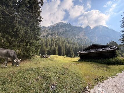 Fotografija s spletne strani Thorsten Tom Freund na poti