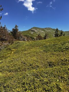 Zdjęcie z Nicola Florini wzdłuż trasy