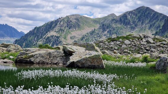 Photo de Fabrizi Mellano le long du parcours