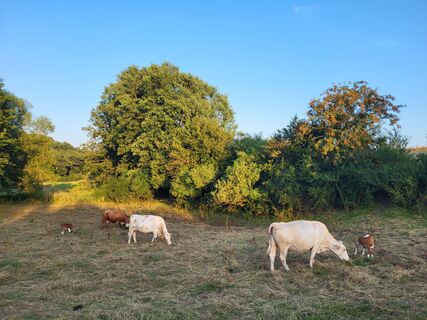 Medelon Landschaft