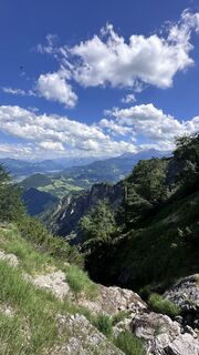 Foto von Mountain Cat ? ⛰️ entlang der Tour