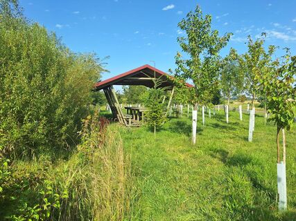 Großzügige Sitzbank Wolfmannshausen