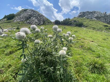 Foto von Sven Krieblin entlang der Tour