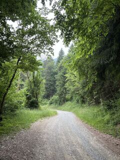 Fotografia z Heinz Sperl na trase