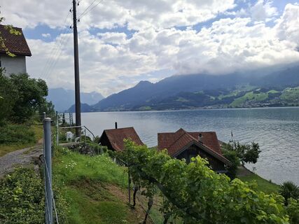 Photo de Michael Putz le long du parcours
