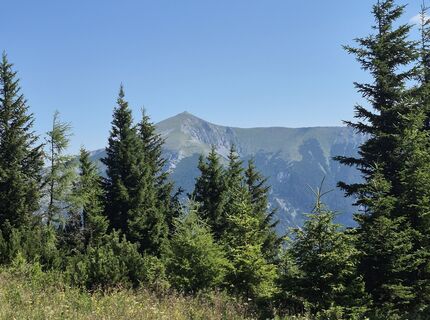 Fotografija s spletne strani Maria Punz 1 na poti