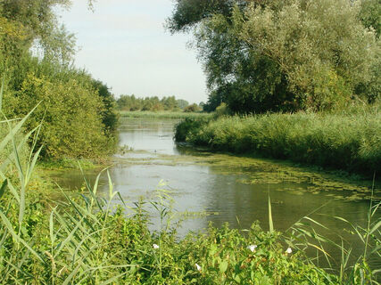 Wyler Meer