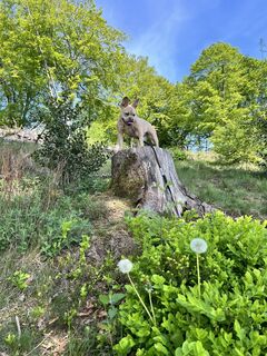 Photo de Denise Weinmann le long du parcours