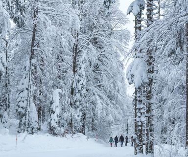 Winterlandschaft