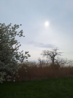 Foto von Mimi entlang der Tour