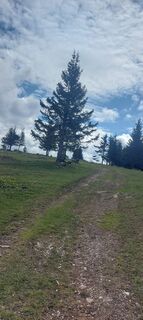 Foto van Klaus Gruber 3 langs de tour