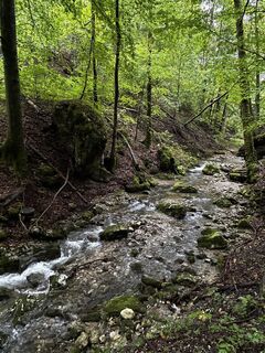 Foto von Alex Haijen entlang der Tour