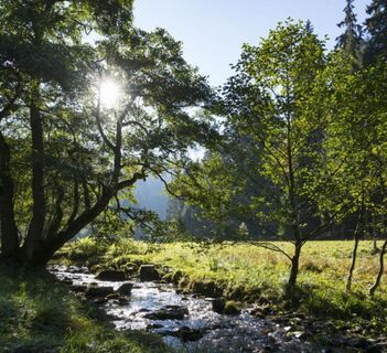 Bachlauf in Willingen-Stryck