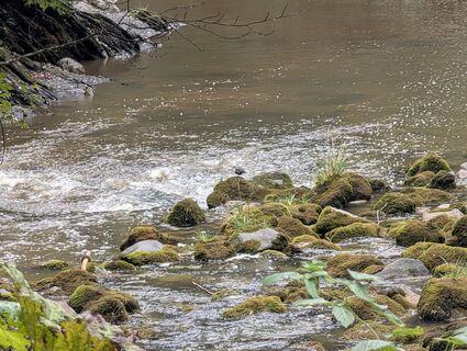Photo de Arne Schlieder le long du parcours