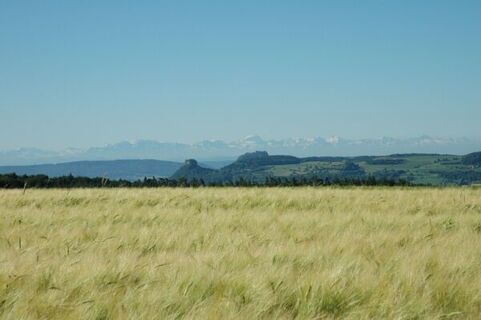 Hegauberge mit Alpenpanorama