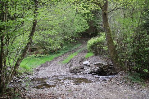 Zdjęcie z Günter Kleutsch wzdłuż trasy