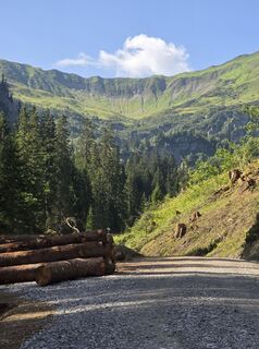 Photo de Anja Carraß le long du parcours