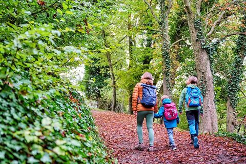 Mutter und Kinder im Wald unterwegs