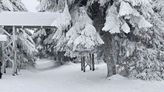 Foto von Katja Senkel entlang der Tour