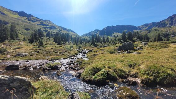 Foto von deniuru entlang der Tour
