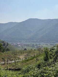 Foto de Herbert Handschuh a lo largo del recorrido