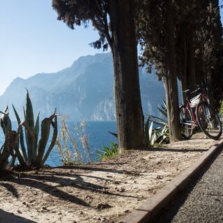 Auf dem Radweg zwischen Riva del Garda und Torbole