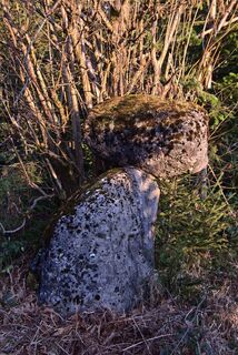 Findlinge neben dem Weg