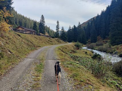 Photo de Xenia Lange le long du parcours