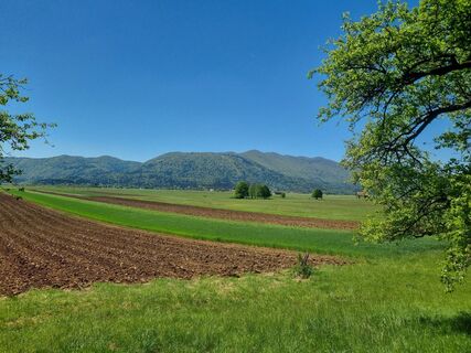 Foto de Grizli a lo largo del recorrido