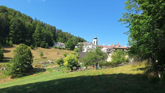 Foto von Manfred Maier 3 entlang der Tour
