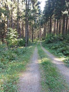 Denksteine-Tour Weg