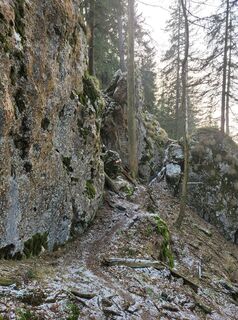 Photo de Juliane Jarke le long du parcours